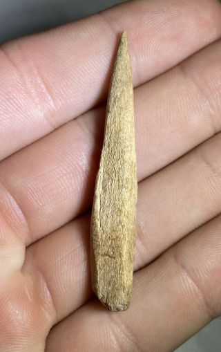 Authentic Bone Awl / Found In Kentucky / Indian Artifacts / 2 - 1/4” Qcy577