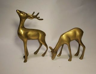 Vintage Mcm Solid Brass Deer Buck & Doe Figurines 6.  5 " & 4.  5 "