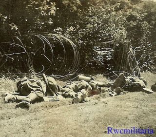 Sad Bodies Of Kia Wehrmacht Soldiers Laying In French Field; 1940