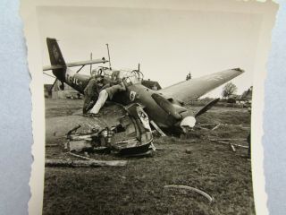 WWII Luftwaffe Photo Wrecked StG 2 Stuka w/Visible Werknummer (5780) 2