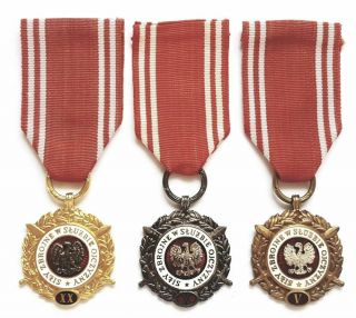 2927 Poland Polish Armed Forces In Service For The Motherland 1968 - Type - Origin