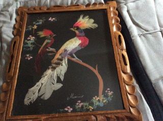 Vintage Mexican Folk Art Feathercraft Dual Bird Feather Picture Carved Frame