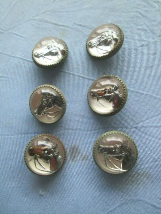 Six Vintage Glass Domed Horse Bridle Rosette Buttons