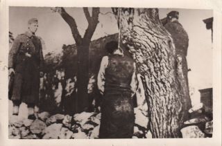Wwii Photo German Atrocity Hanged Executed Partisans France Eto 48