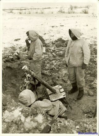 Press Photo: Best German Granatwerfer Crew W/ 8cm Mortar; Witebsk,  Russia 1944