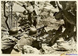 Press Photo: Ambush Wehrmacht Crew W/ Mg - 42 Machine Gun Prone On Hilltop