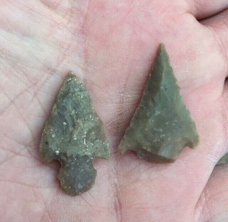 2 Authentic Points Arrow Heads Artifact South Texas Native American