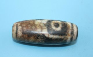 52 16mm Antique Dzi Agate Old 2 Eyes Bead From Tibet