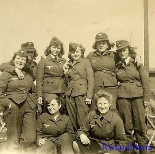 Rare Buddy Pic By Group Of Female Luftwaffe Helferin Blitzmädel Girls