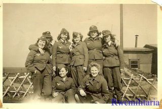 RARE Buddy Pic by Group of Female Luftwaffe Helferin Blitzmädel Girls 2