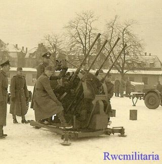 Rare German Gebirgsjäger Troops W/ Vierling 4 Barreled 2cm Flak Gun