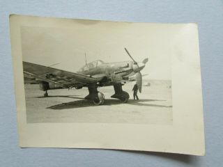 Wwii Luftwaffe Photo Stuka Ju 87d On The Eastern Front