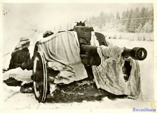 Press Photo: Best Wehrmacht Panzerjägers W/ Pak 40 7.  5cm Gun In Russian Winter
