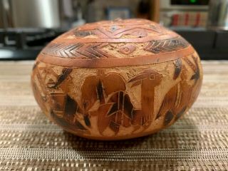 Peruvian Hand Carved Gourd Detailed Folk Art With Llamas Alpacas.  Puzzle Lid