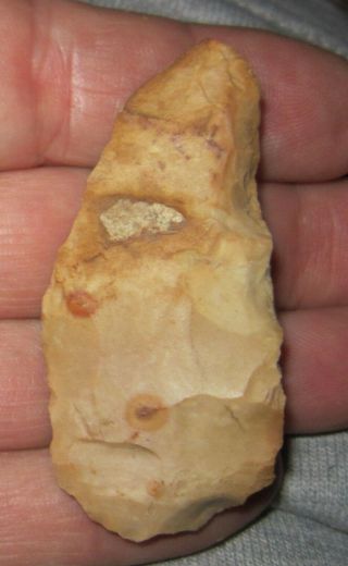 Well Authentic 2 7/16 " Butler County Missouri Knife Artifact Arrowhead