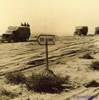 Lg.  Port.  Photo: Rare Wehrmacht Afrika Korps Supply Column Of Trucks In Desert