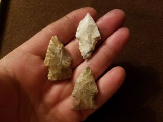 3 Authentic Arrowheads Measuring In At 1 1/2 " Long