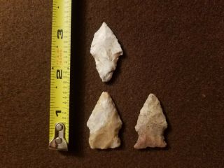 3 authentic arrowheads measuring in at 1 1/2 