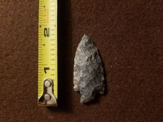 Authentic Arrowhead Blue And White Speckled In Color Measuring In At 1 3/4 " Long