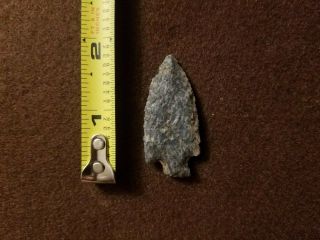 Authentic arrowhead blue and white speckled in color measuring in at 1 3/4 