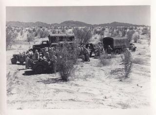 Wwii Photo Us Army Jeep Trucks Trailer Camp Seeley 1942 California 59
