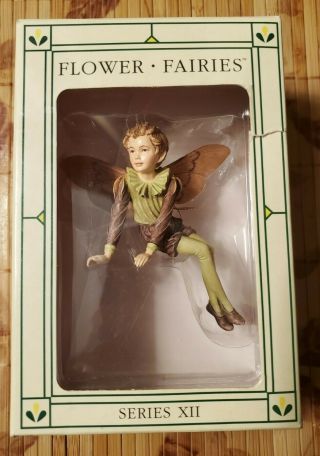 Flower Fairies Beech Tree Fairy Ornament By Cicely Mary Barker Series Xii 86970