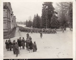 Wwii Signal Corps Photo 1st French Armored Division German Prisoners 39