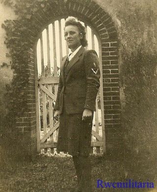 Rare Female Luftwaffe Helferin Blitzmädel Girl Posed In Garden By Gate