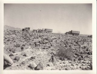Wwii Photo Us Army Jeeps & Trucks Desert Camp Seeley 1942 California 43