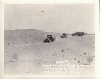 Wwii Photo Army 2 - 1/2 Ton Trucks Desert Camp Seeley 1942 California 24