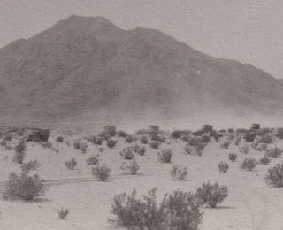 Wwii Photo Column Of 2 - 1/2 Ton Trucks Desert Camp Seeley 1942 Ca 44