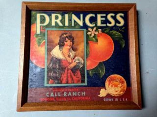 Vintage Antique Sunkist Orange Crate Label Advertising