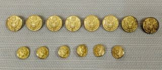 Waterbury Button Co Wwii Us Army Eagle Military Uniform Brass Buttons Set Of 14