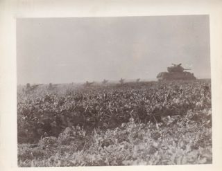 Wwii Photo Us Infantry Following M4 Sherman Tank Beeke 1945 Germany 104