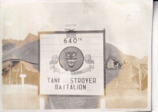 Wwii Snapshot Photo 640th Tank Destroyer Battalion Sign Camo Pto 76