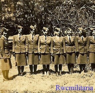 Rare Group Female Luftwaffe Blitzmädel Helferin Girls Lined Up In Field