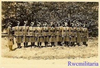 RARE Group Female Luftwaffe Blitzmädel Helferin Girls Lined Up in Field 2