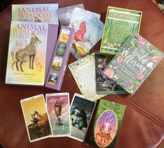 Tarot Card Three Deck Set,  Animal Wisdom - Magical Forest - Wild Offering Oracle