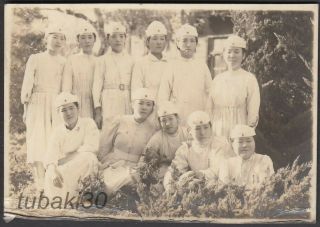 Zq6 Imperial Japan Army Photo Red Cross Hospital Nurses