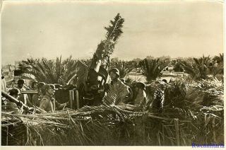 Press Photo: At Ready Luftwaffe Troops Manning 8.  8cm Flak Gun; Tunisia 1943