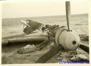 Org.  Photo: Us View Shot Down Luftwaffe Me - 109 Fighter Plane; North Africa
