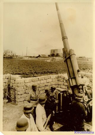 Press Photo: At Ready Luftwaffe Crew W/ 8.  8cm Flak Gun; Palermo,  Italy 1943