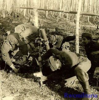 Feuer Wehrmacht Granatwerfer Crew Firing Grw.  34 8cm Mortar In Field