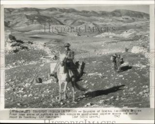 1943 Press Photo British First Army Soldiers Deliver Supplies To Tunisia,  Wwii