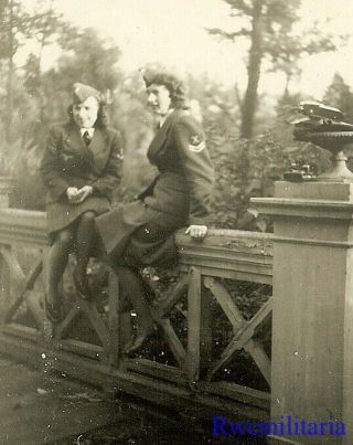Rare Female Luftwaffe Blitzmädel Helferin Girls Seated On Wall