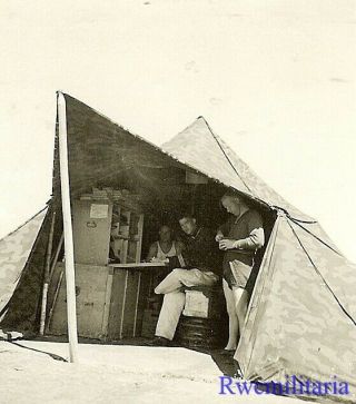 Best Wehrmacht Afrika Korps Troops Escaping The Desert Heat In Camo Tent