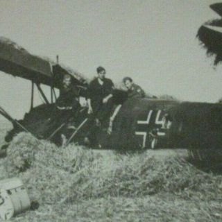 WWII German Photo Combat Soldiers crashed Bucker Bu 131D aircraft 2