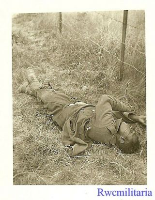 SAD German View of KIA Black French African Colonial Soldier in Field 2