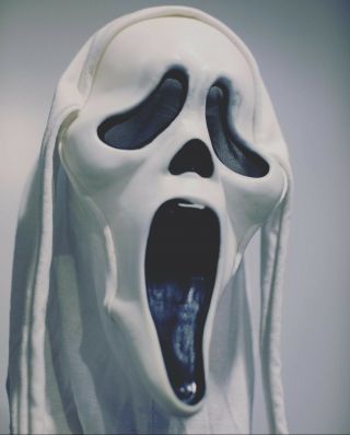 Scream Mask Fantastic Faces Fun World Gen 1 White Hood Ghost Face Rare Grail 5