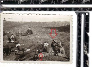 Wwii German Photo Luftwaffe Soldiers W/ Flak Badges Drink Beer On Down Time